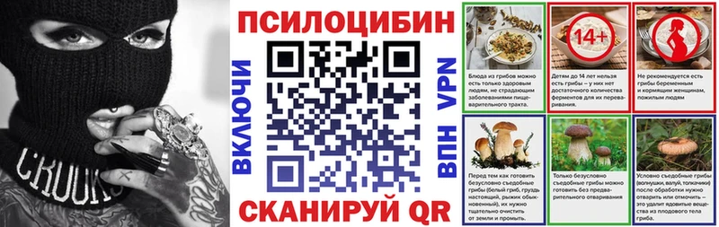 Псилоцибиновые грибы Magic Shrooms  где купить наркоту  Салаир 