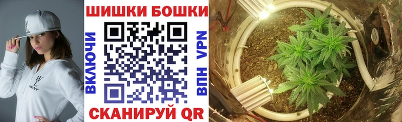 купить   Салаир  Шишки марихуана VHQ 